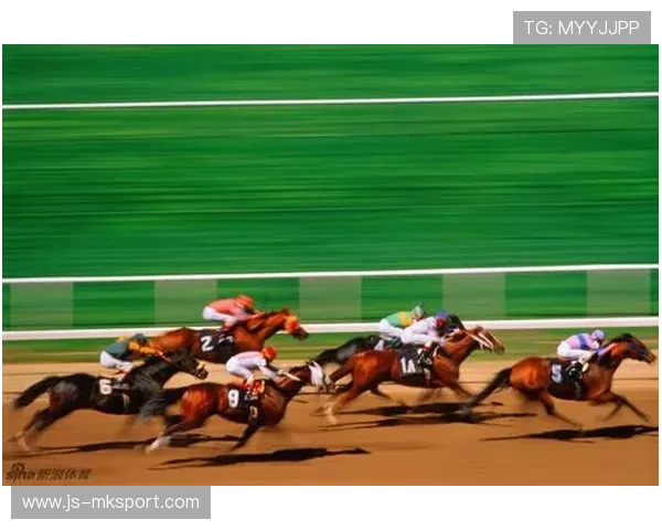 赛道密码：科技革新如何影响比赛结果，科技创新赛马制度